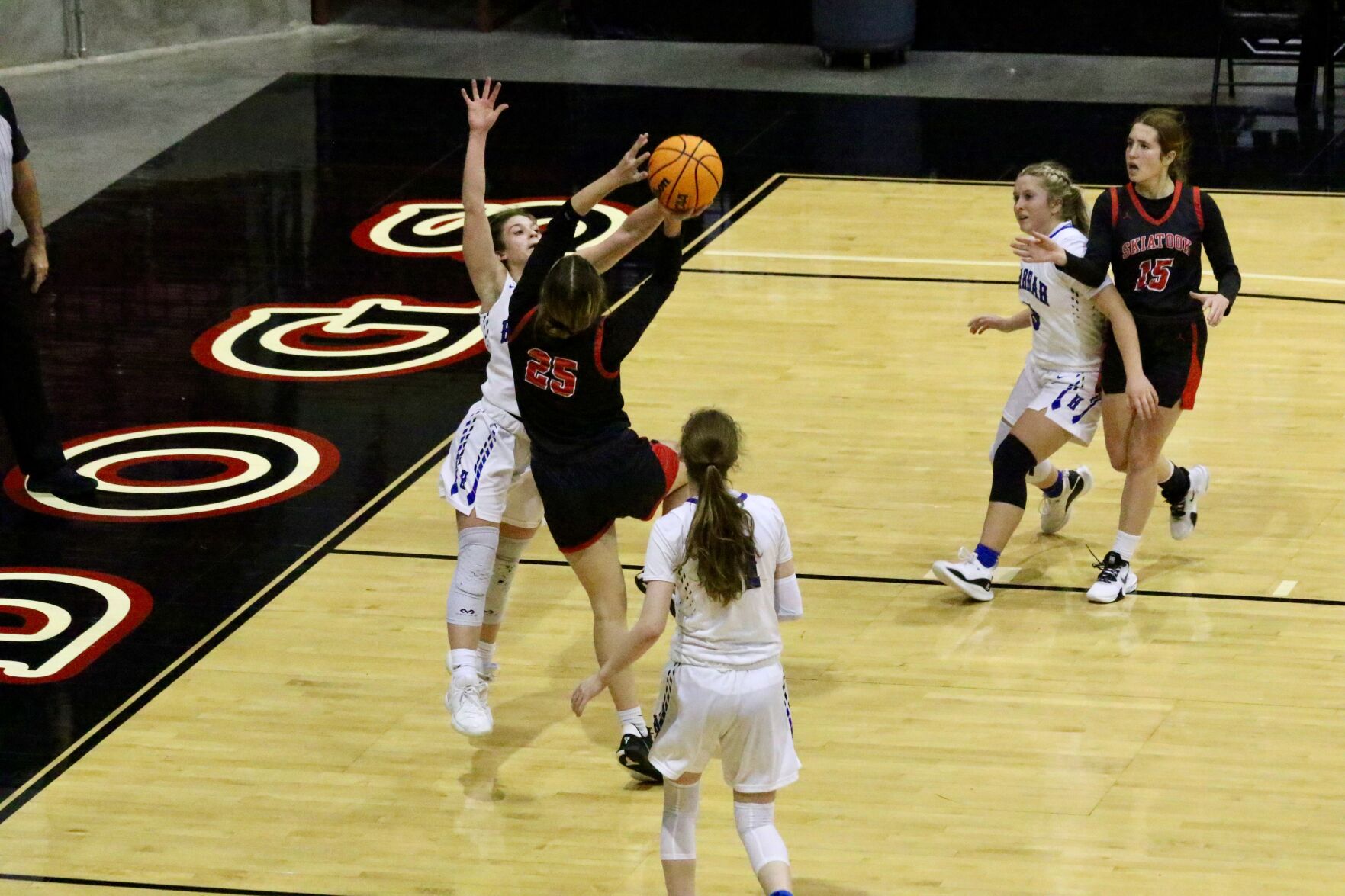 Lady Dawgs vs. Harrah19.jpeg
